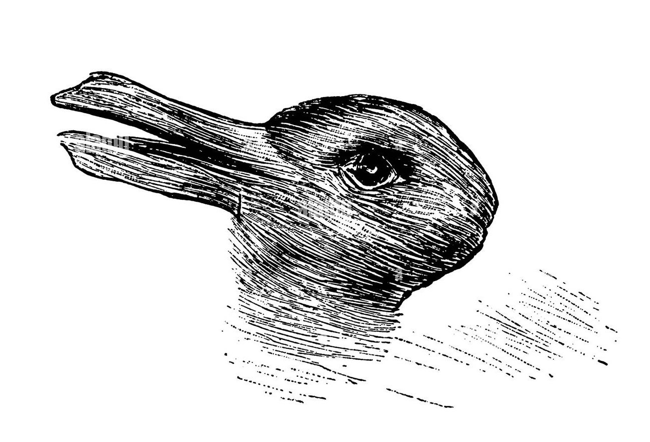 Lillusione dellanatra-coniglio è una delle illusioni ottiche più rinomate tra quelle proposte dallo psicologo Joseph Jastrow.